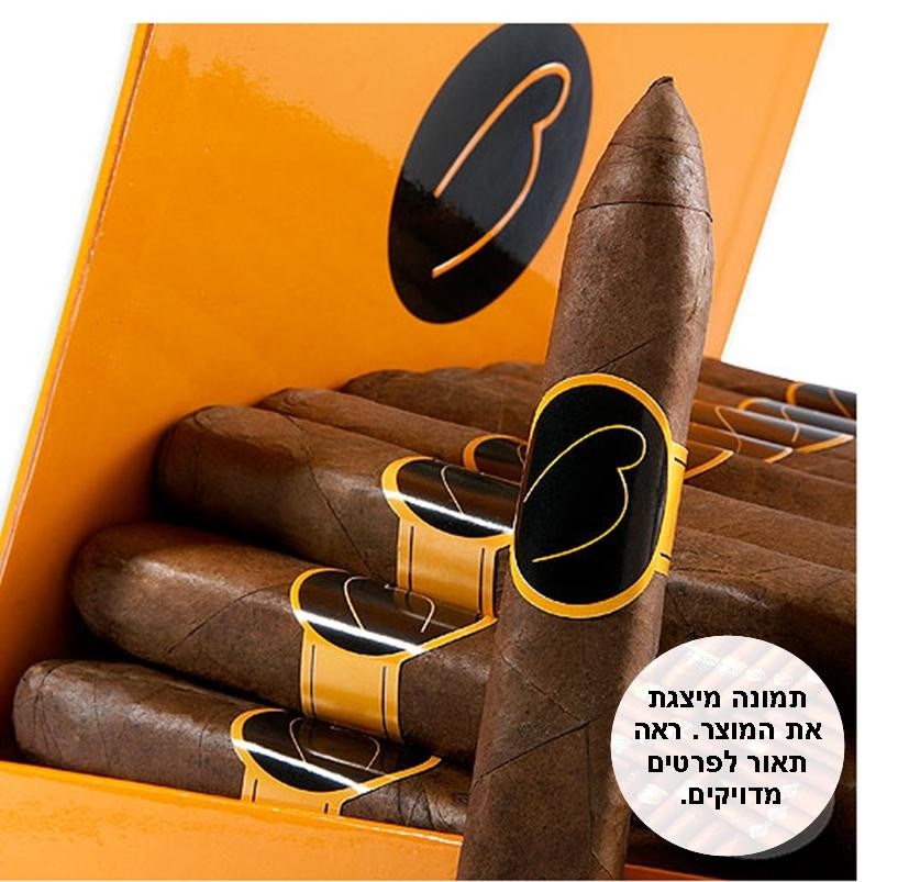 לחץ להגדלה
