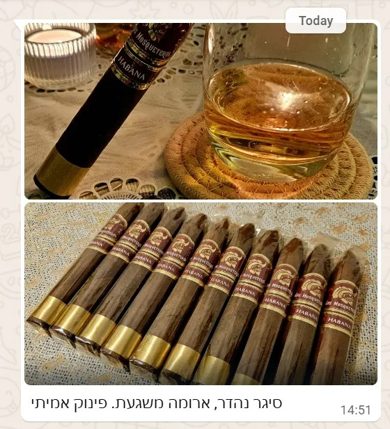 לוס מוסקיטרוס