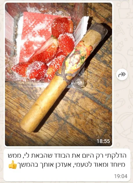 דיוזה לטינה