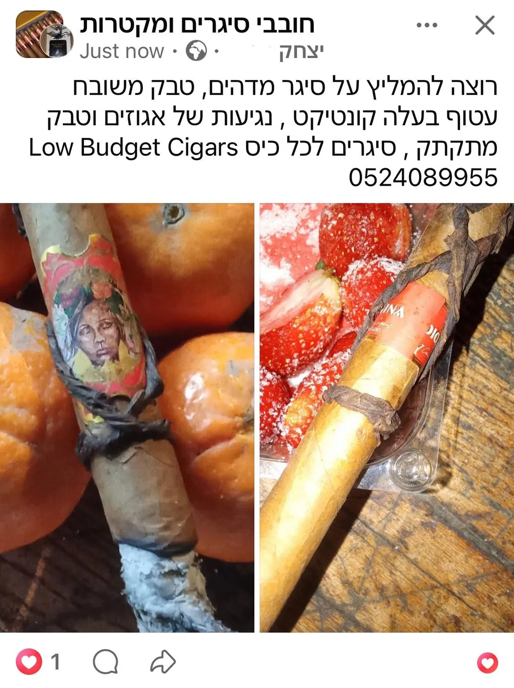 דיוזה לטינה